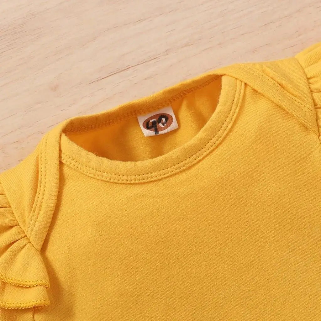 Newborn to 18 month Baby Girl Spring & Summer 3 pc Short Set