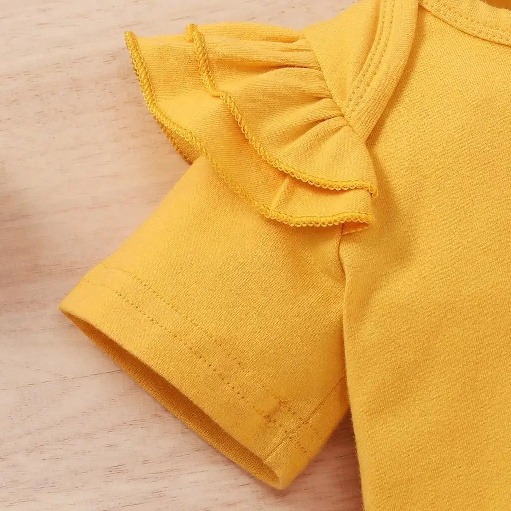 Newborn to 18 month Baby Girl Spring & Summer 3 pc Short Set